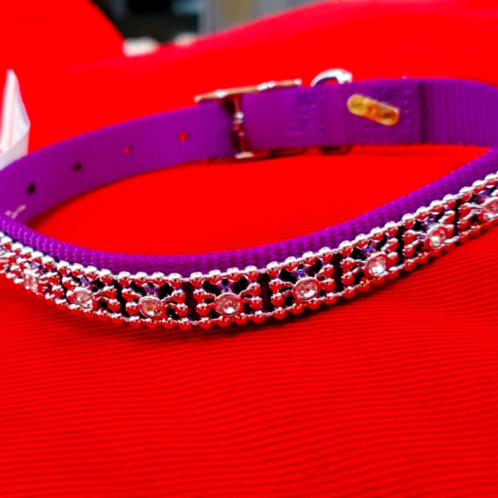 Brand New purple dog collar with rhinestones 14 inches